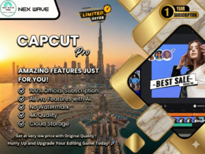 Perplexity Ai 1 year Subscription In Dubai Offers